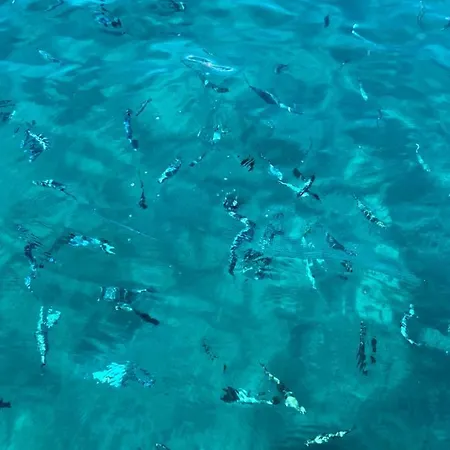 Villetta Lu Fraili San Teodoro (Sardinia)
